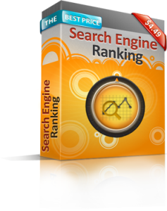 Search-Engine-Ranking-Report